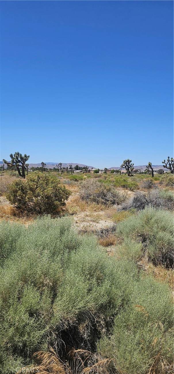 https://bt-photos.global.ssl.fastly.net/socal/orig_boomver_1_372847236-2.jpg