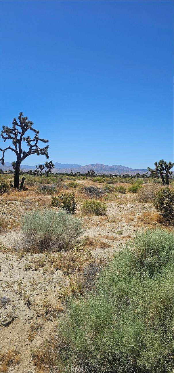 https://bt-photos.global.ssl.fastly.net/socal/orig_boomver_1_372847236-2.jpg