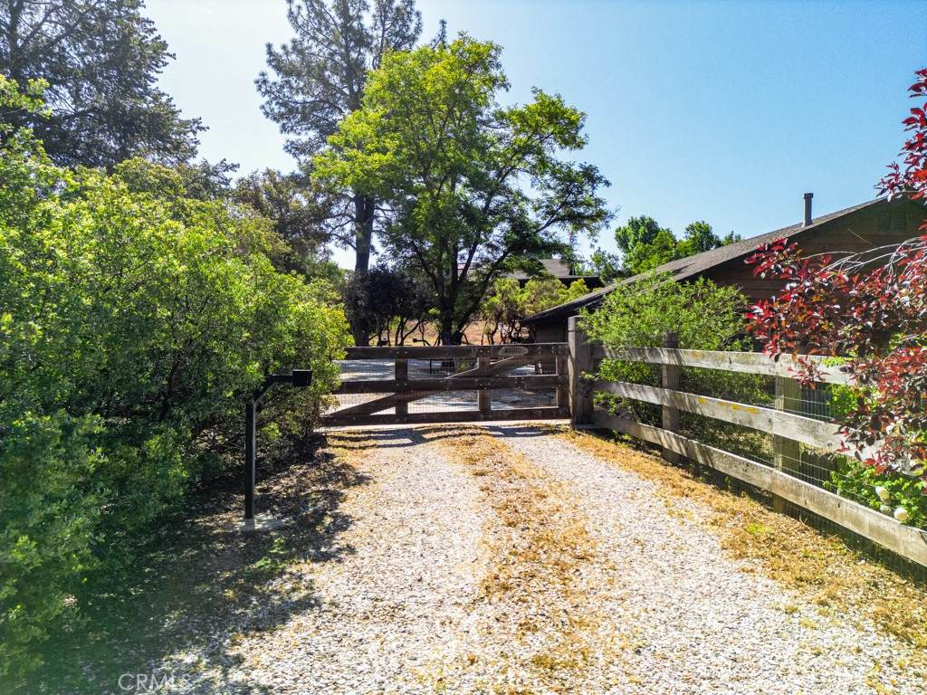 38180 Paradise Drive - Photo 1