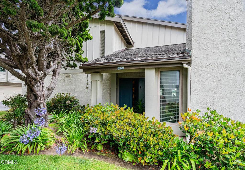 3250 Sunset Lane - Photo 1