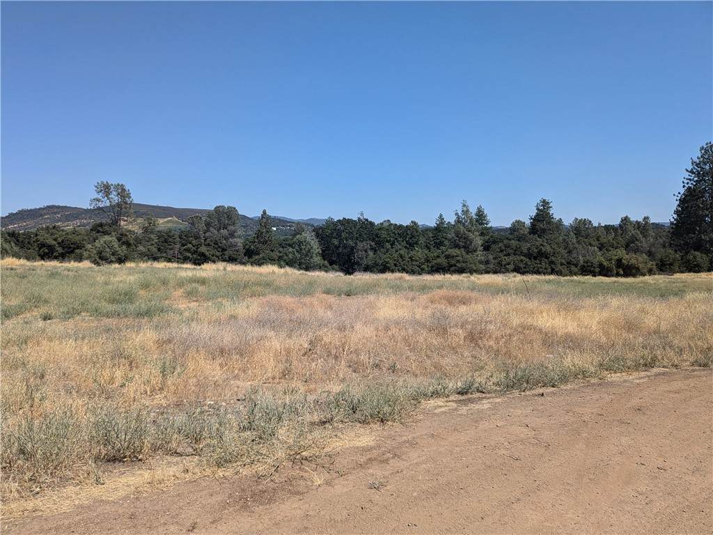 3569 Kakul Street - Photo 1