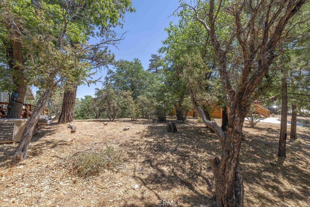 0 Sheephorn Road - Photo 1