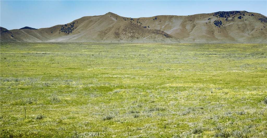 12924 Arrow Bear Trail - Photo 1