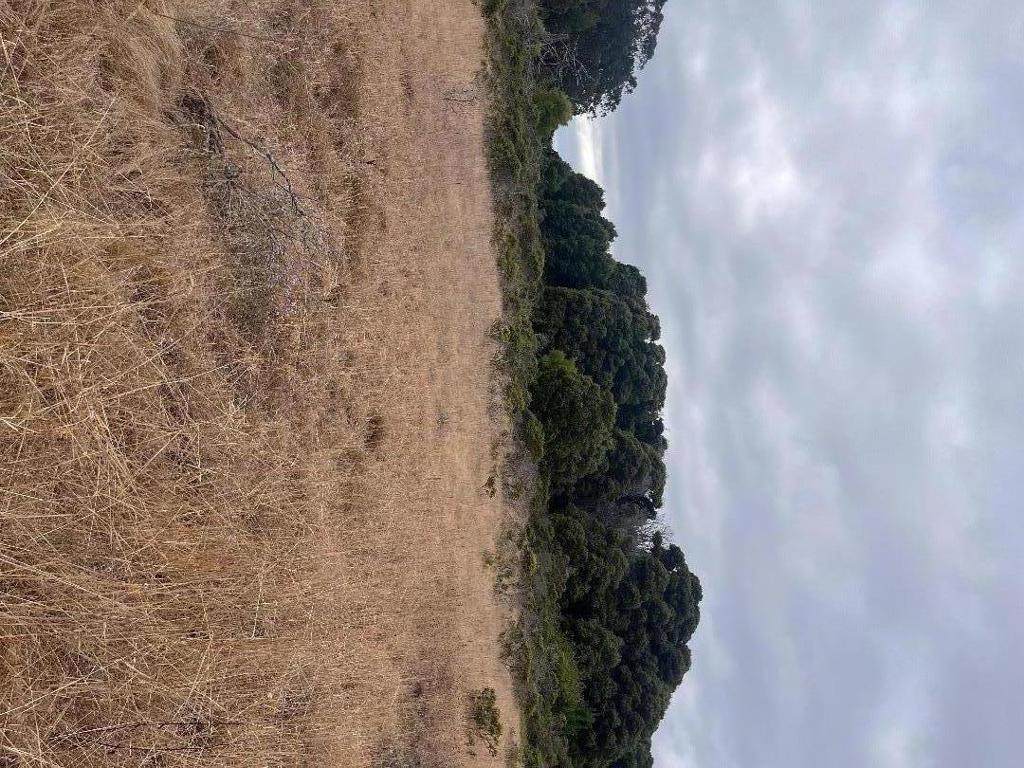 https://bt-photos.global.ssl.fastly.net/socal/orig_boomver_1_373356736-2.jpg