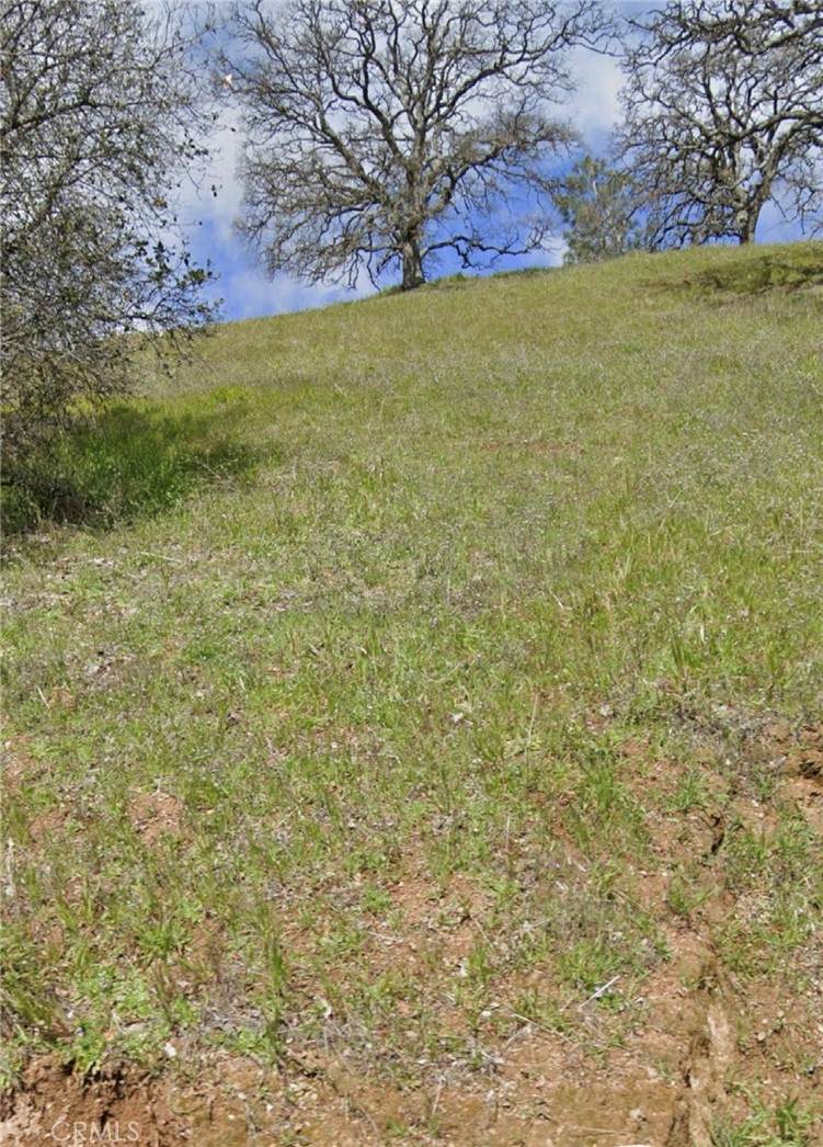 https://bt-photos.global.ssl.fastly.net/socal/orig_boomver_1_373450920-2.jpg