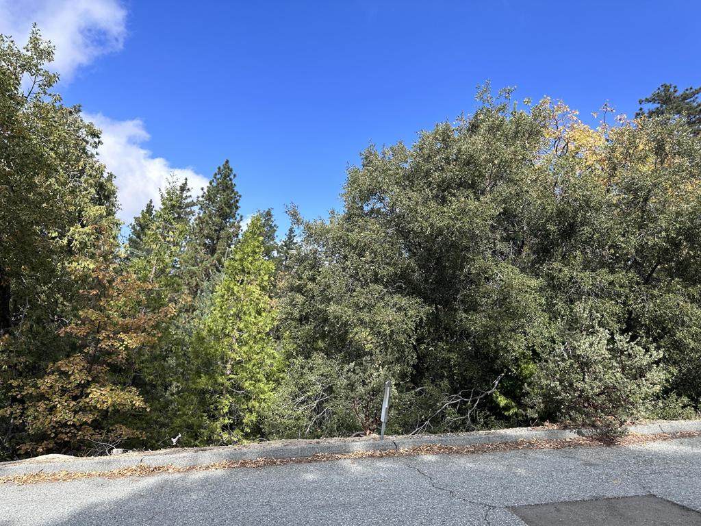 0 Round Robin - Photo 1
