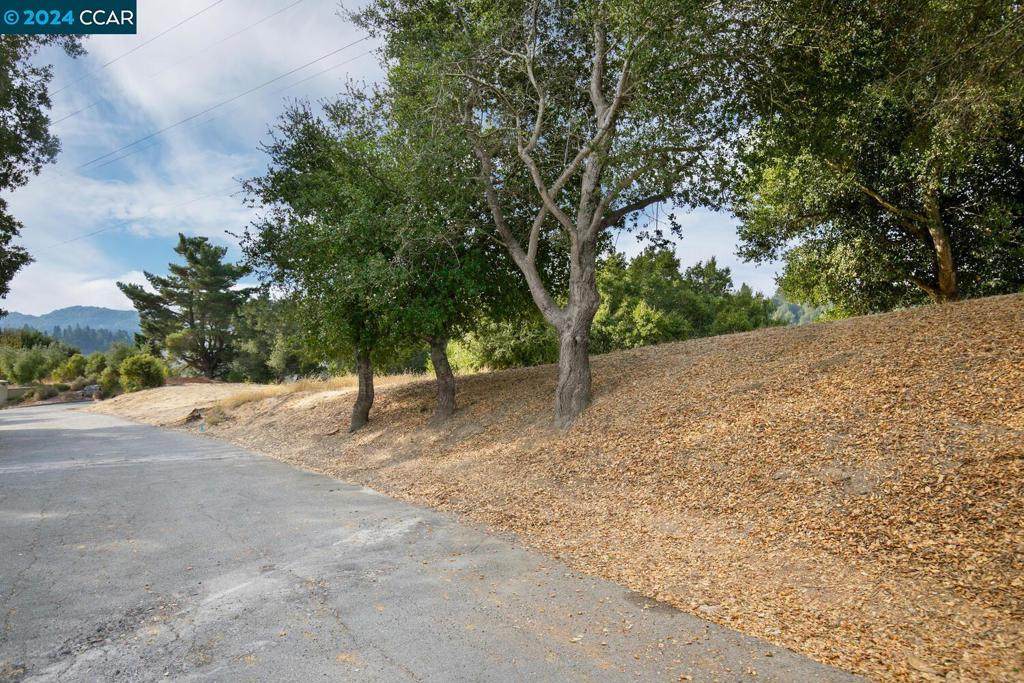 46 Cedar Terrace - Photo 1