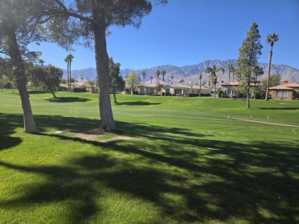 29487 Trancas Drive - Photo 1