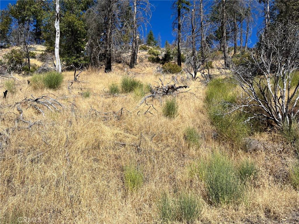 9768 Palmer Drive - Photo 1