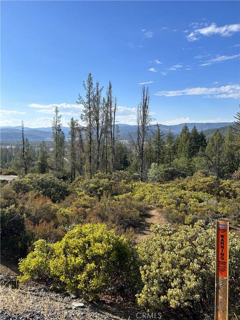 29956 Booth Crossing Road - Photo 1