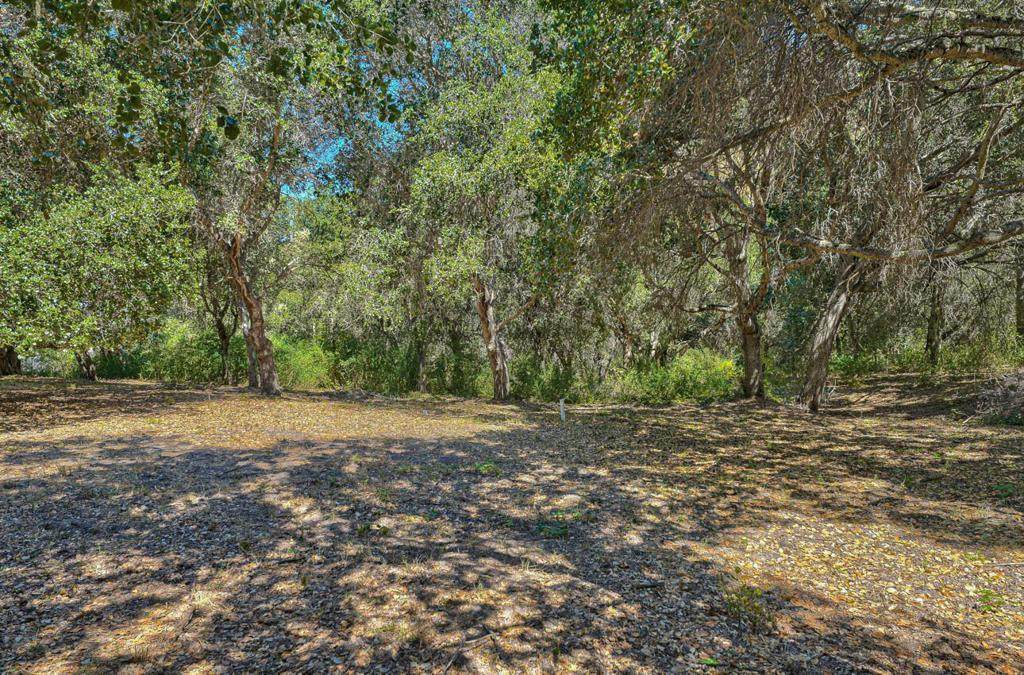 27765 Mesa Del Toro Road - Photo 1