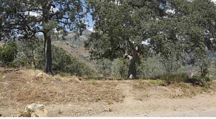 https://bt-photos.global.ssl.fastly.net/socal/orig_boomver_1_373833773-2.jpg