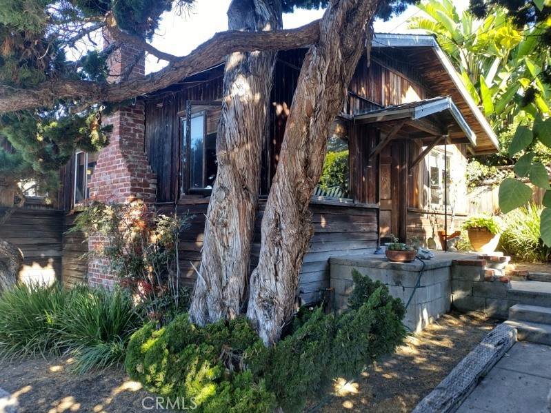 656 Thalia Street - Photo 1
