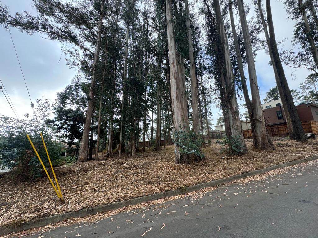 0 The Alameda - Photo 1