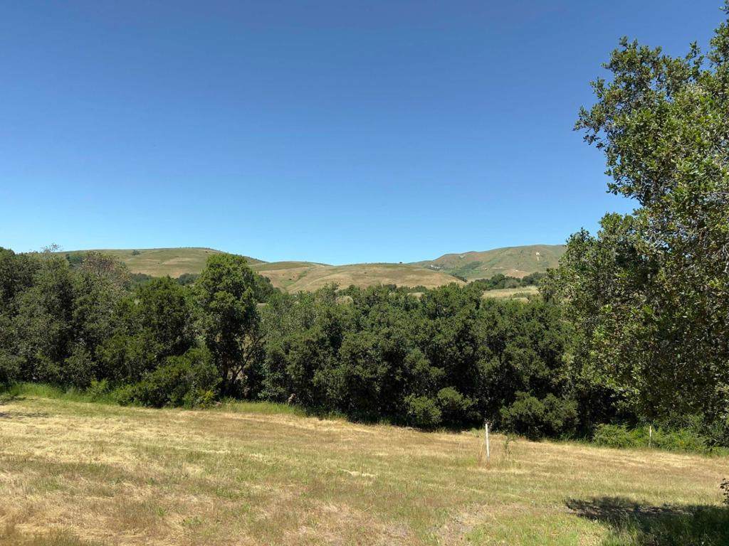 3 Ohlone Trace - Photo 1