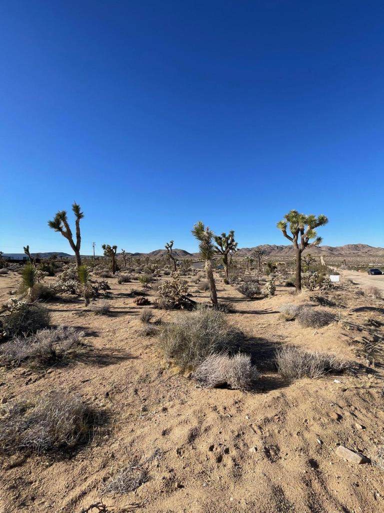 0 Saddleback Road - Photo 1