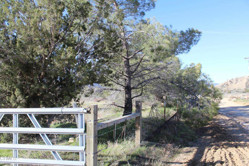 4190 Quatal Canyon Road - Photo 1