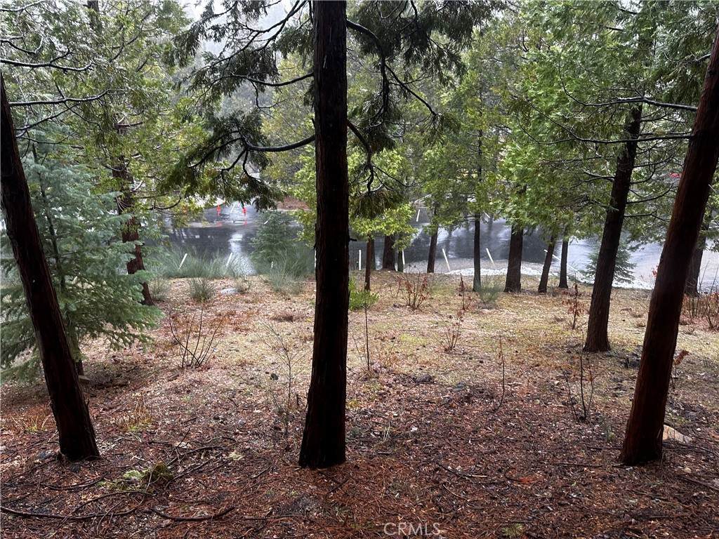 180 Grass Valley Road - Photo 1