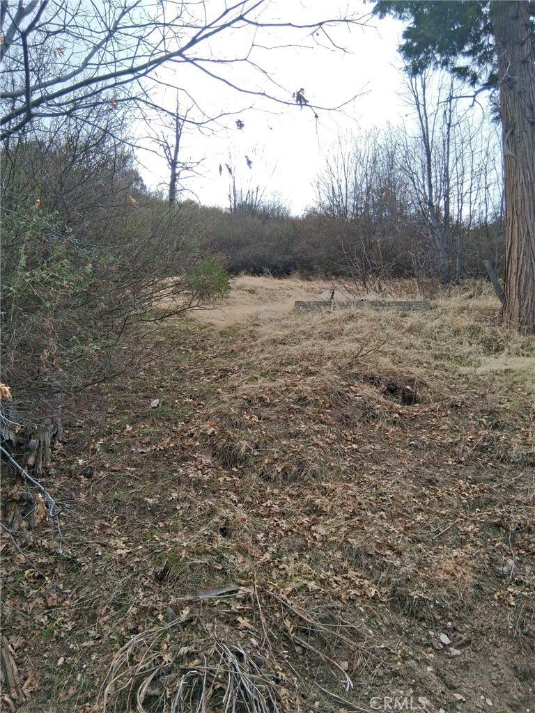0 Pine Drive - Photo 1