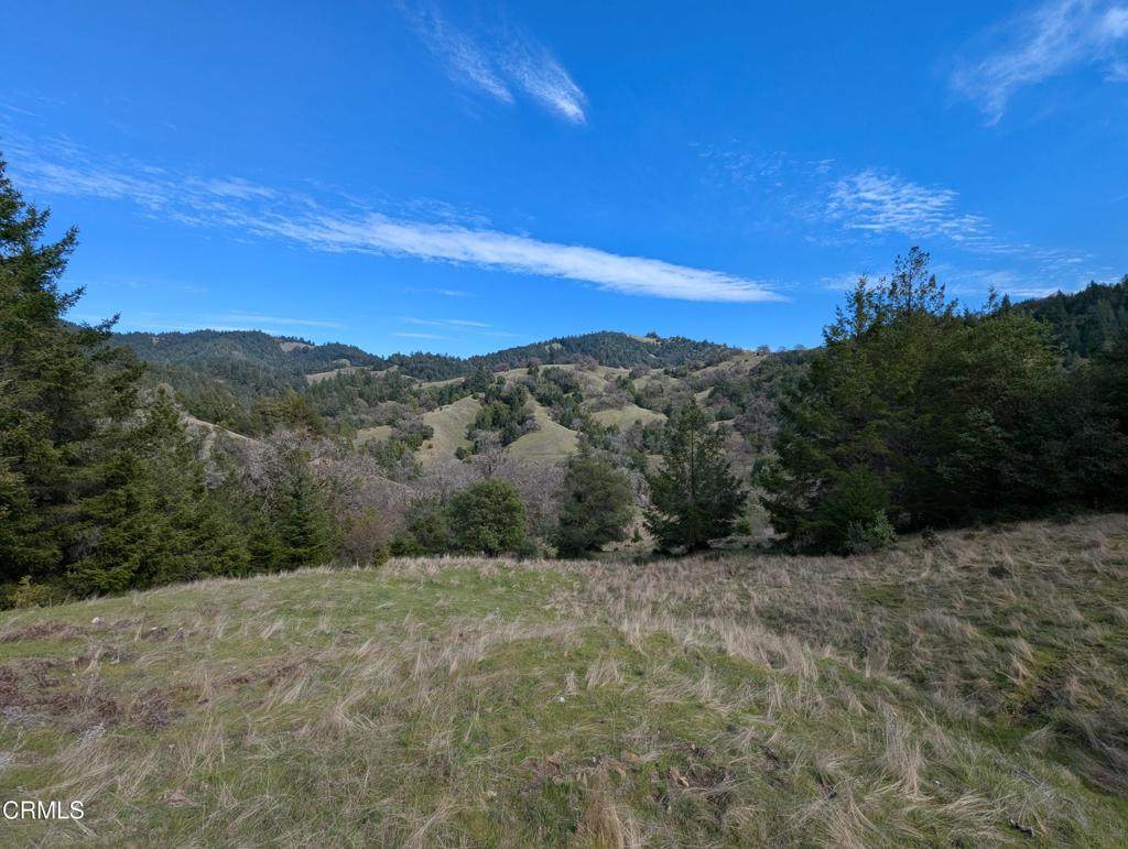 22346 Rickard Ranch Road - Photo 1