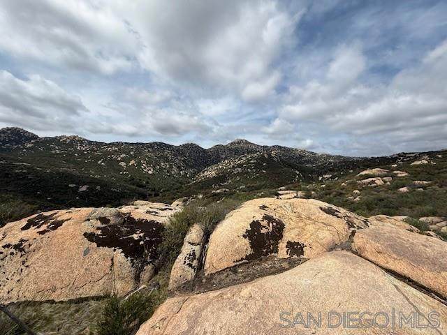 Barrett Lake Rd - Photo 1