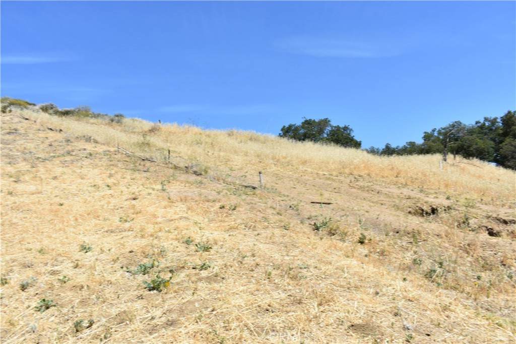 https://bt-photos.global.ssl.fastly.net/socal/orig_boomver_1_374184027-2.jpg