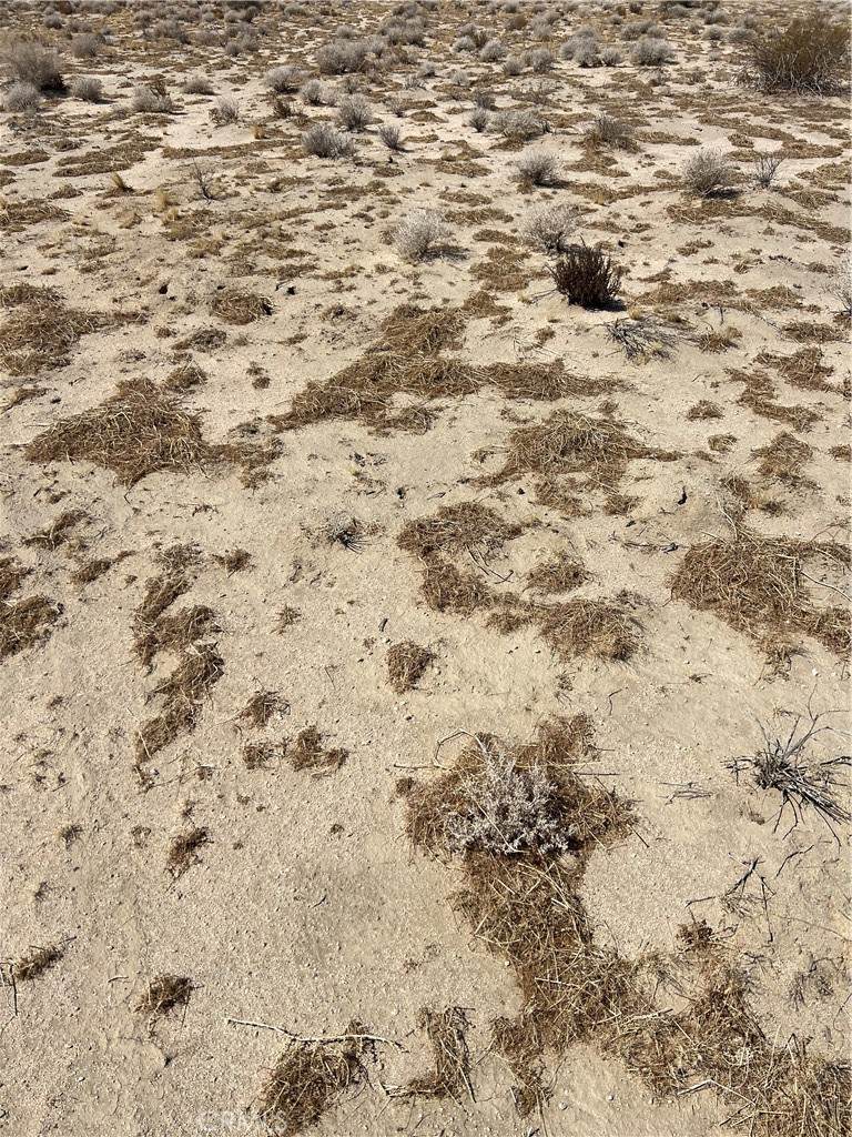 0 Resin Rd - Photo 1