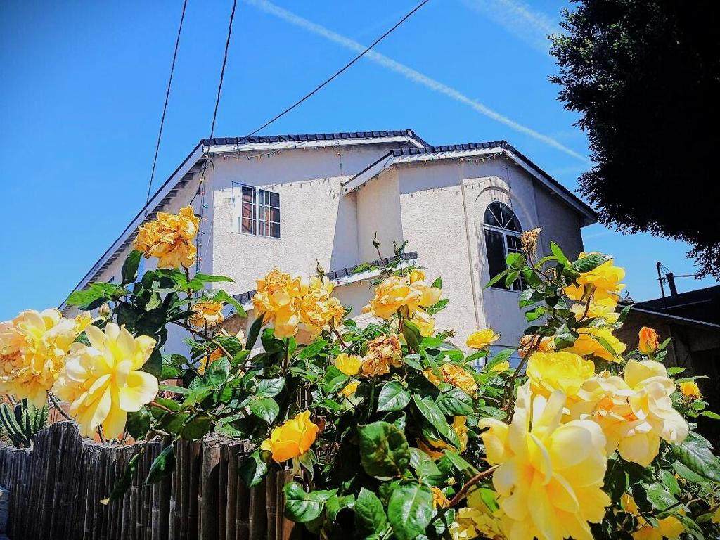 230 232 15th Street - Photo 1