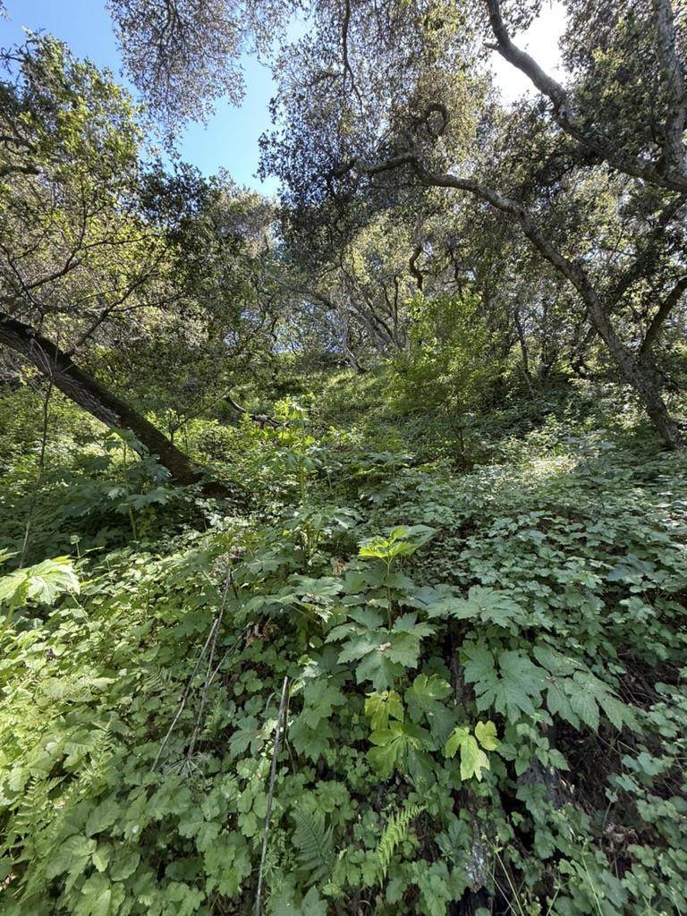 https://bt-photos.global.ssl.fastly.net/socal/orig_boomver_1_374271238-2.jpg