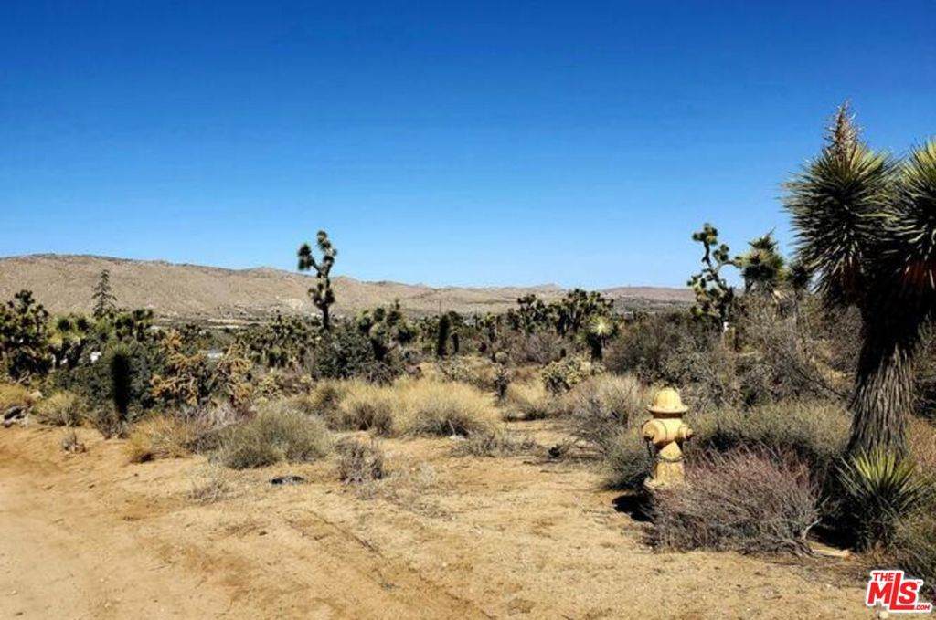 8171 Jemez Trail - Photo 1