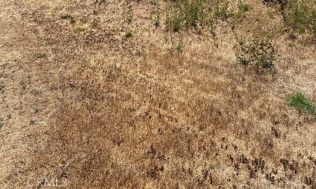 0 10th Street - Photo 1