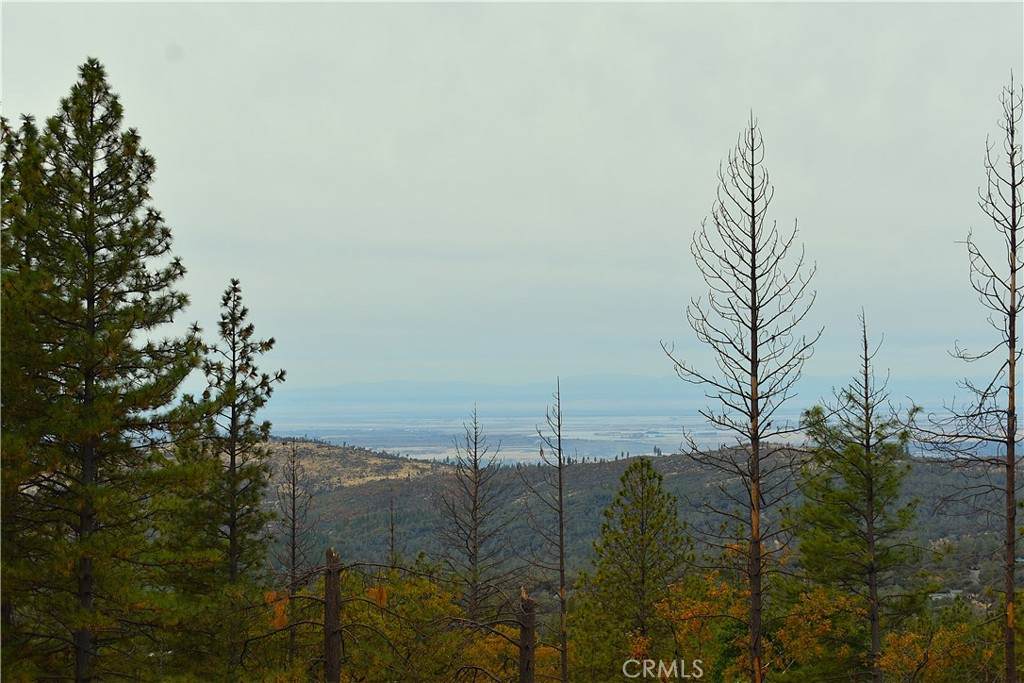 233 Renegade Road - Photo 1