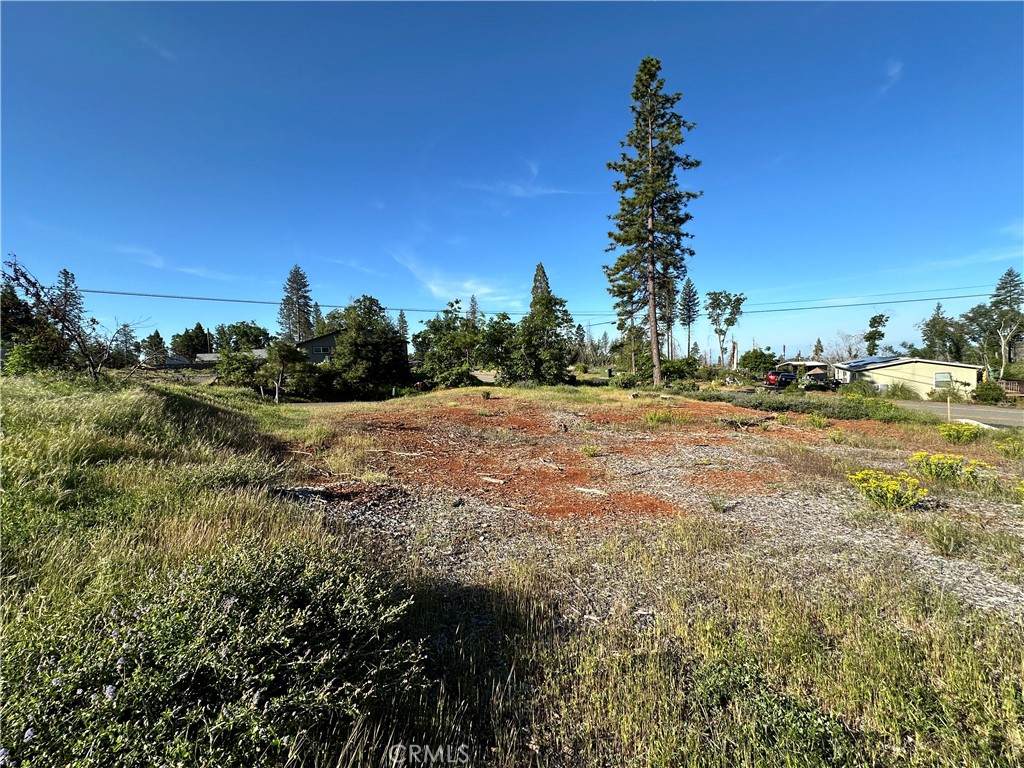 6203 Woodbury Drive - Photo 1