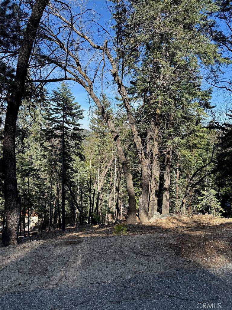 26537 Spyglass Drive - Photo 1
