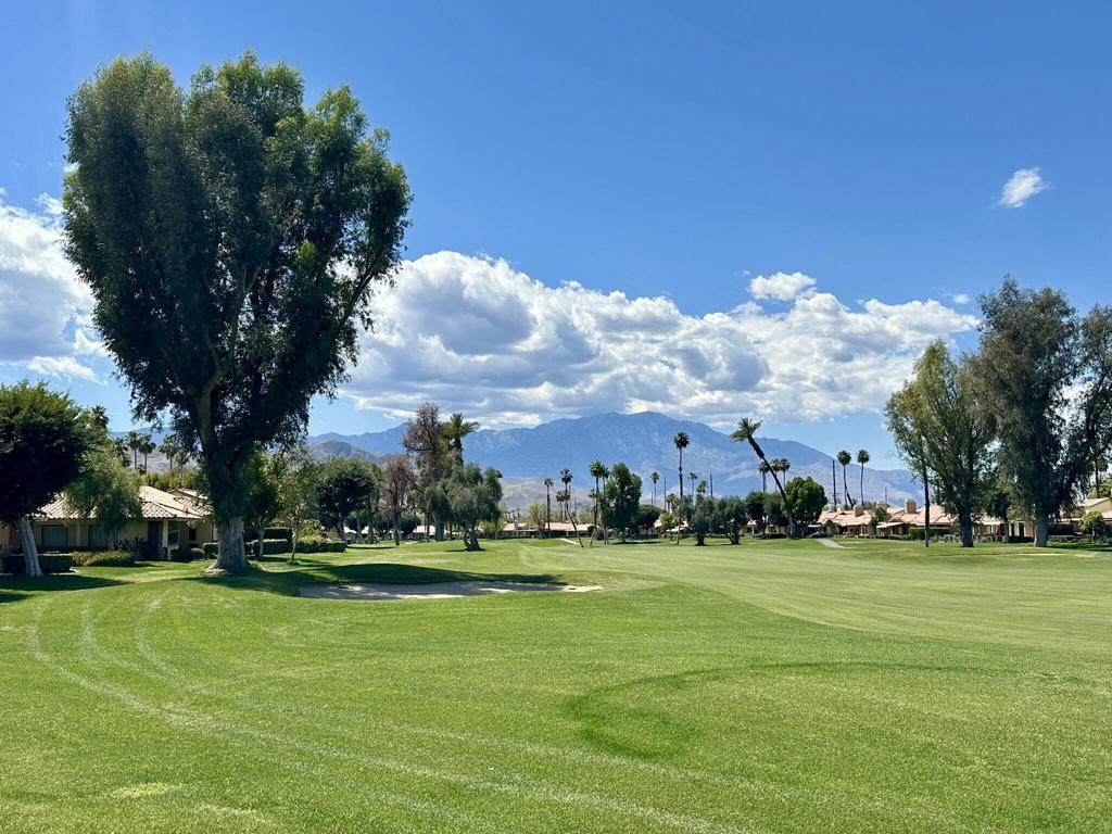 264 Avenida Del Sol - Photo 1