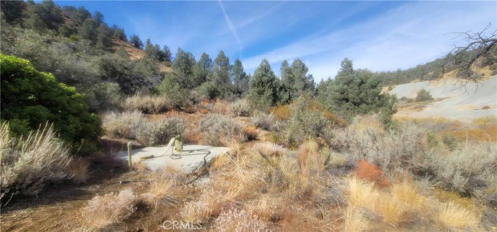 32897 Seymour Canyon Road - Photo 1