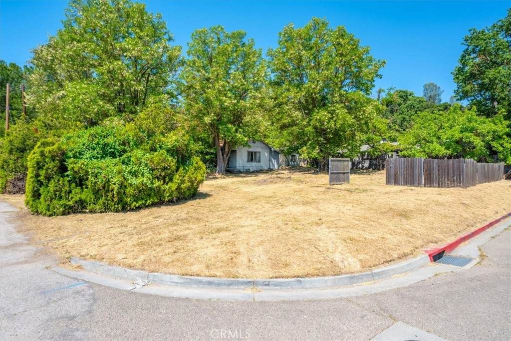 5985 Dolores Avenue - Photo 1