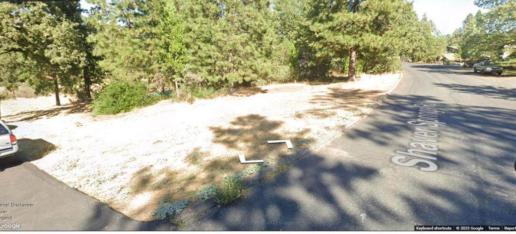 34032 Shaver Springs Road - Photo 1