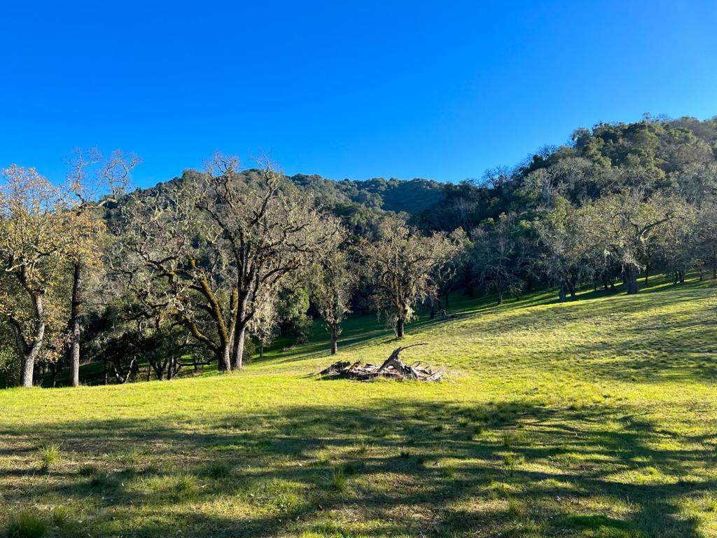 22 Arroyo Sequoia - Photo 1