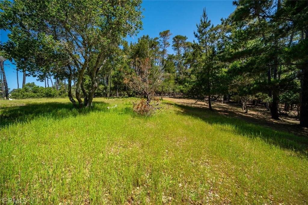 6475 Kathryn Drive - Photo 1