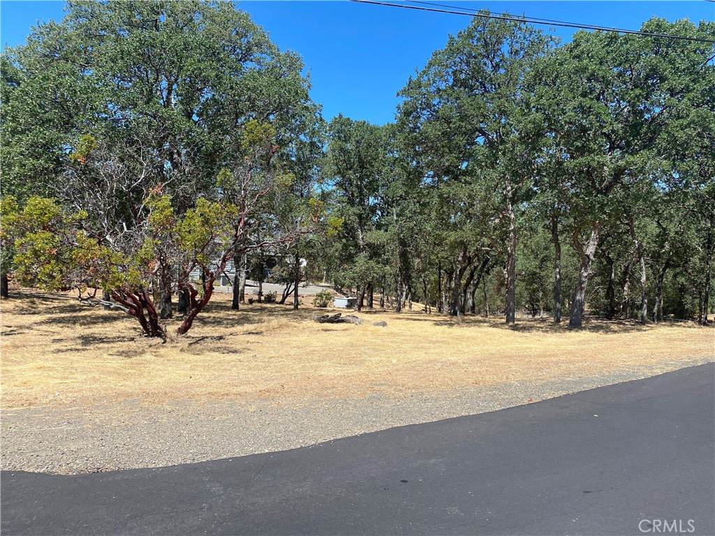 17902 Moon Hill Court - Photo 1