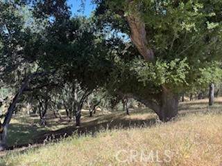 2172 Ridge Rider Road - Photo 1