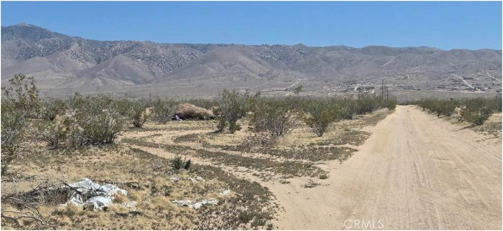 26585 Del Oro Road - Photo 1