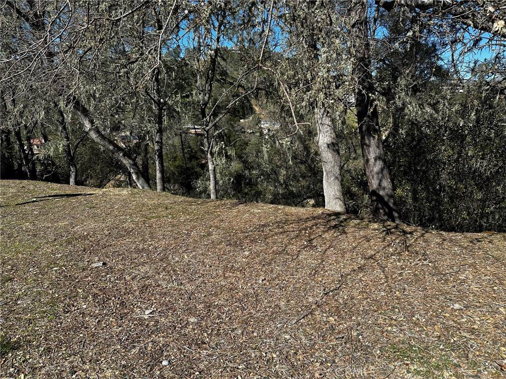 8209 Woody Point Lane - Photo 1
