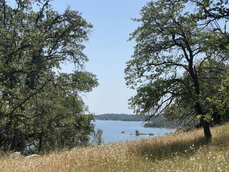 1119 Montauk Vista - Photo 1