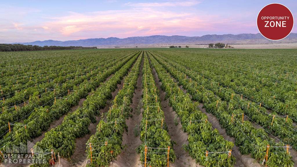 0 Ave 72 & Hayes St - Photo 1