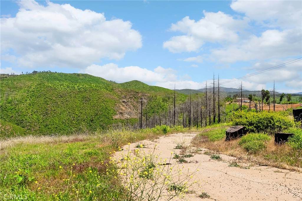 6888 Dean Place - Photo 1