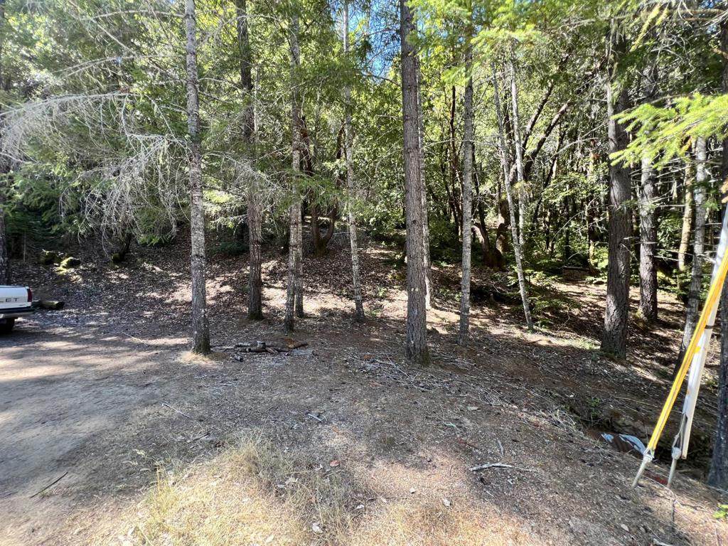 24858 Clover Road - Photo 1