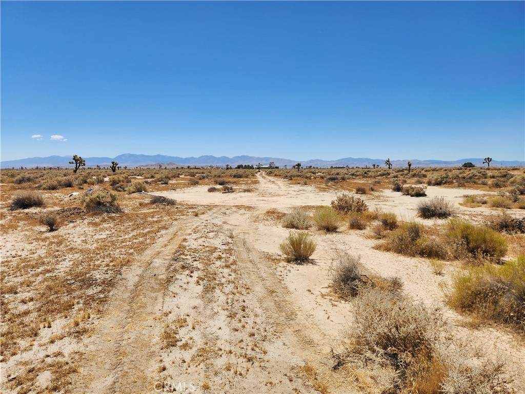 5 AC Ave G8 - Photo 1