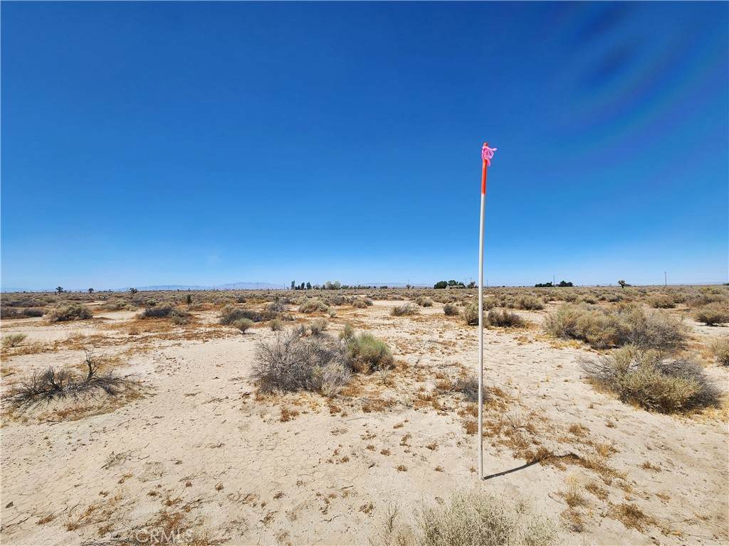 2 AC 122 Street - Photo 1